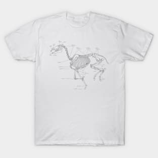 Skeleton horse anatomical sketch T-Shirt